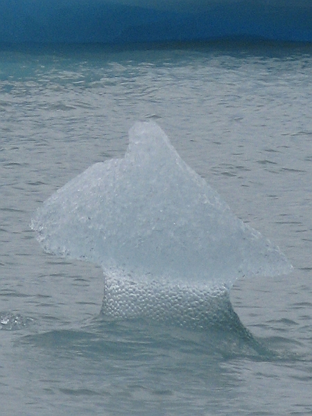 Patagonie 201.jpg